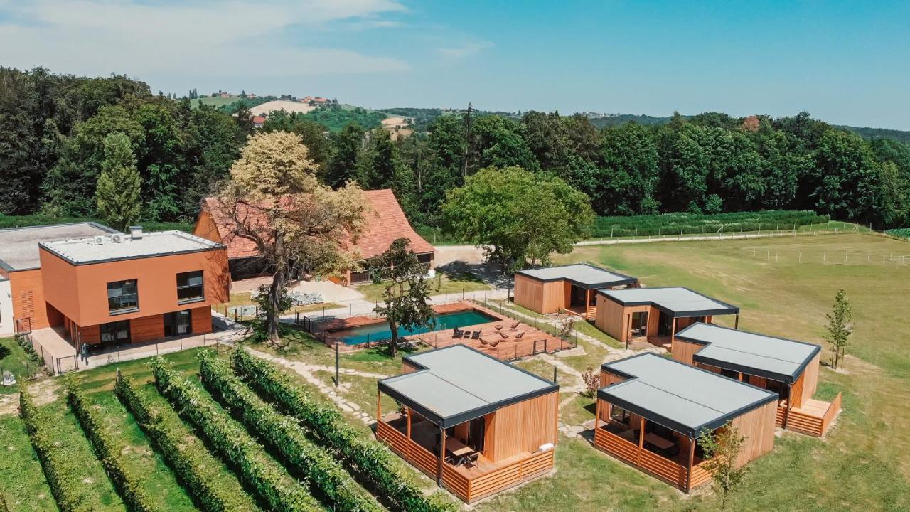 Wine Paradise Glavinic Miklavz pri Ormozu Eksteriør billede